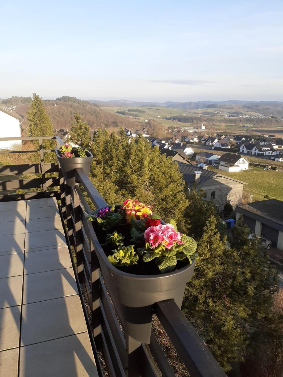 Ferienwohnungen Sternenhimmel Whg 1 Medebach Ngoại thất bức ảnh